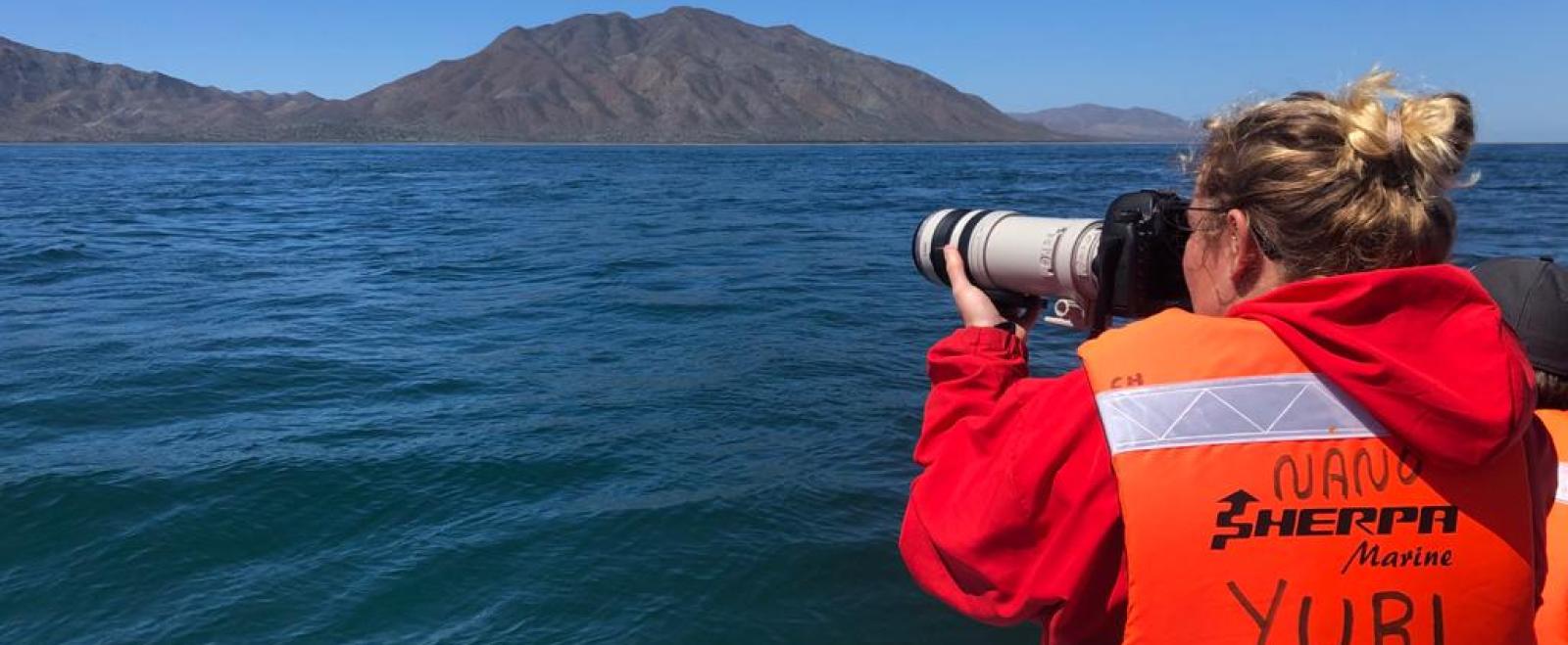 Climate volunteer in Mexico