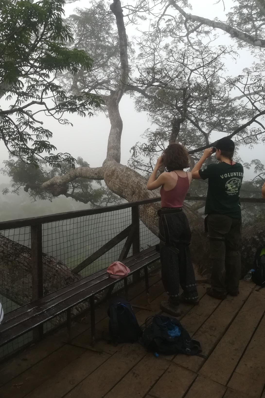 Capel Manor volunteers watching for birds