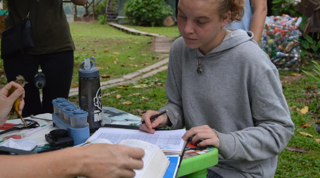 Collect wildlife data while volunteering in Peru