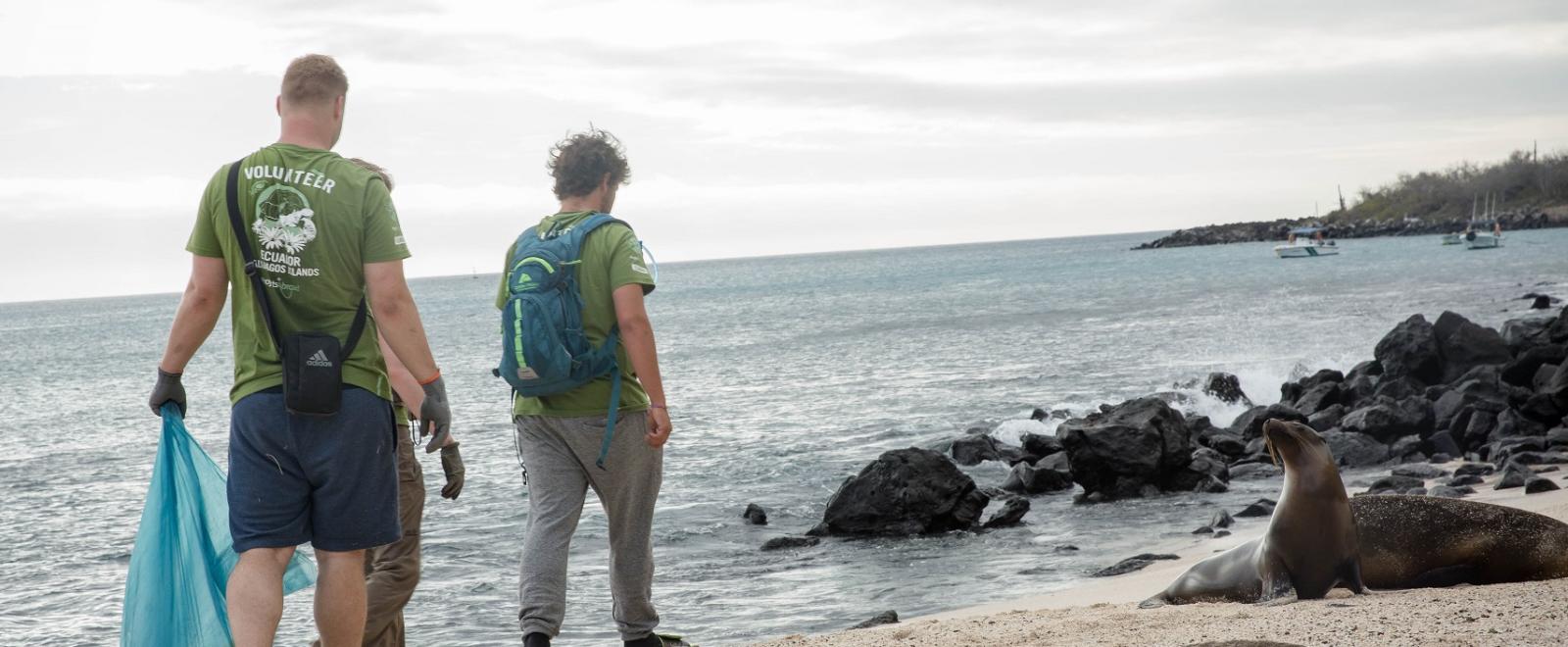 Adult Projects Abroad volunteers cleanup the beach in Ecuador during the Conservation and Community Work project