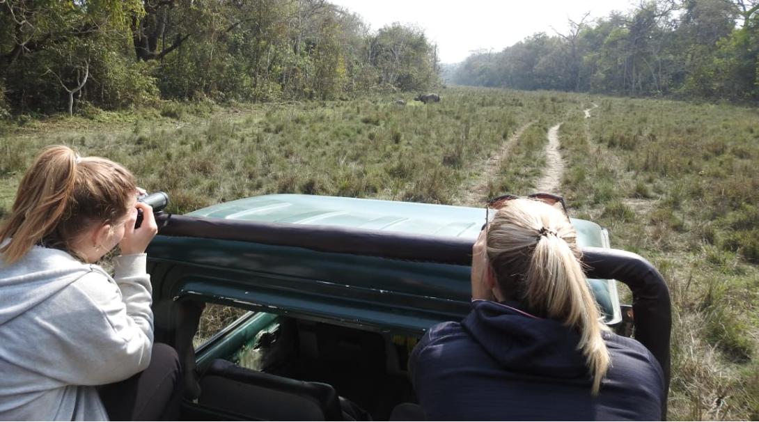 Volunteer with animals in Nepal and spot the greater one-horned rhino