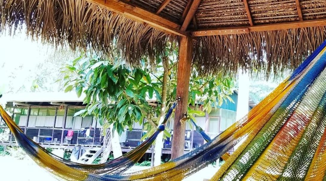 A hammock area in Taricaya