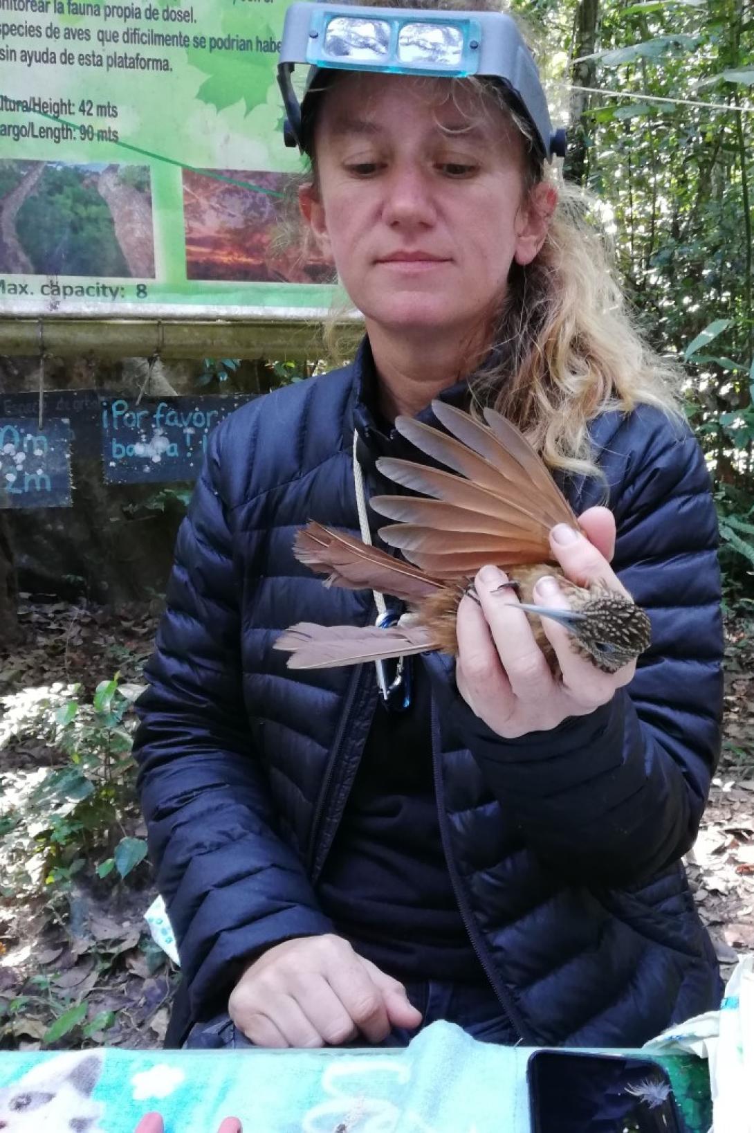 Rachel recording data on birds