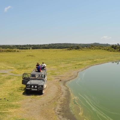 Summer volunteers in Kenya on a car in the Soysambu Conservancy