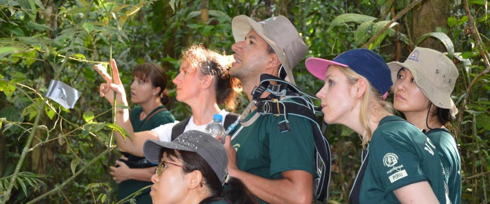 Peru conservation volunteers