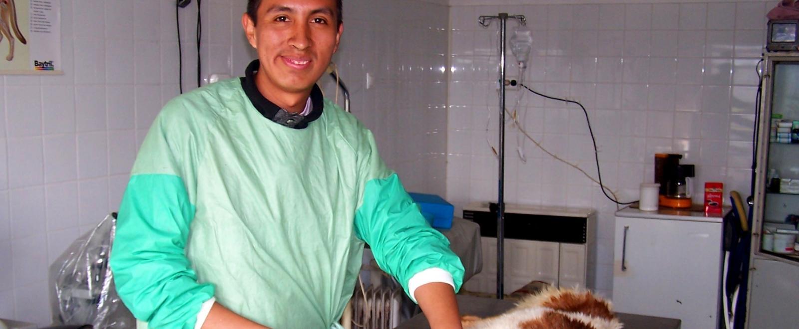 A dog has his medical check up at a Veterinary Medicine placement in Romania.