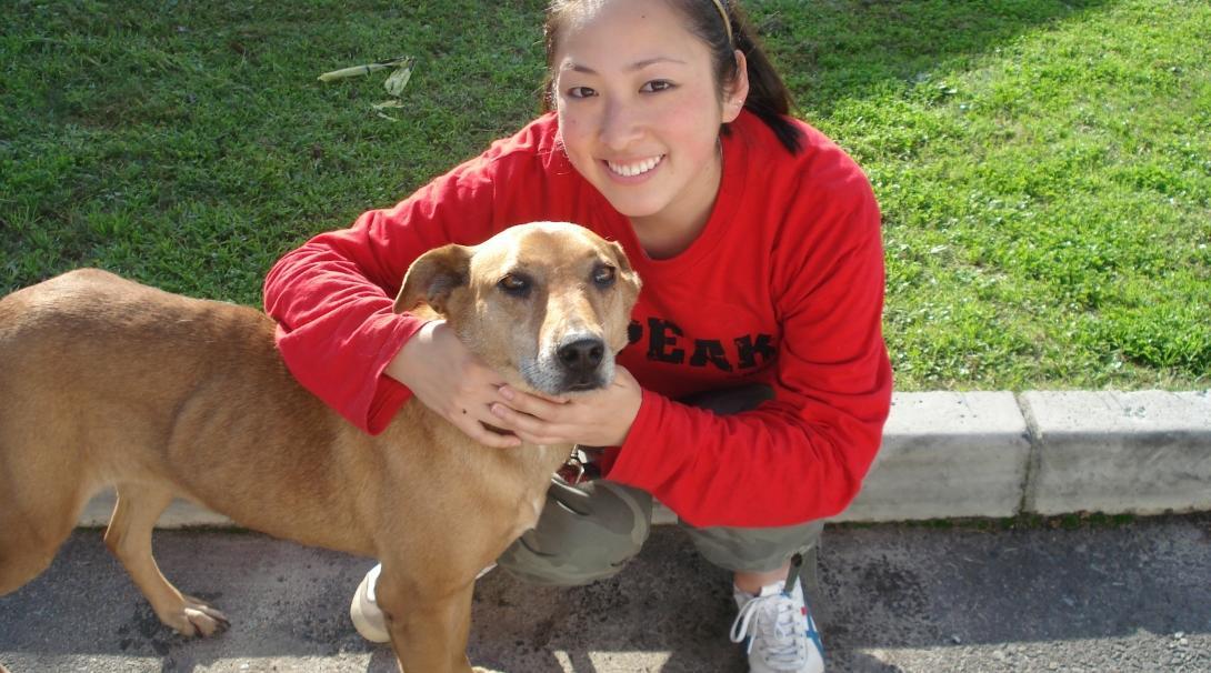 A dog is socialised by a volunteer working with animals in South Africa to assist with the adoption process. 