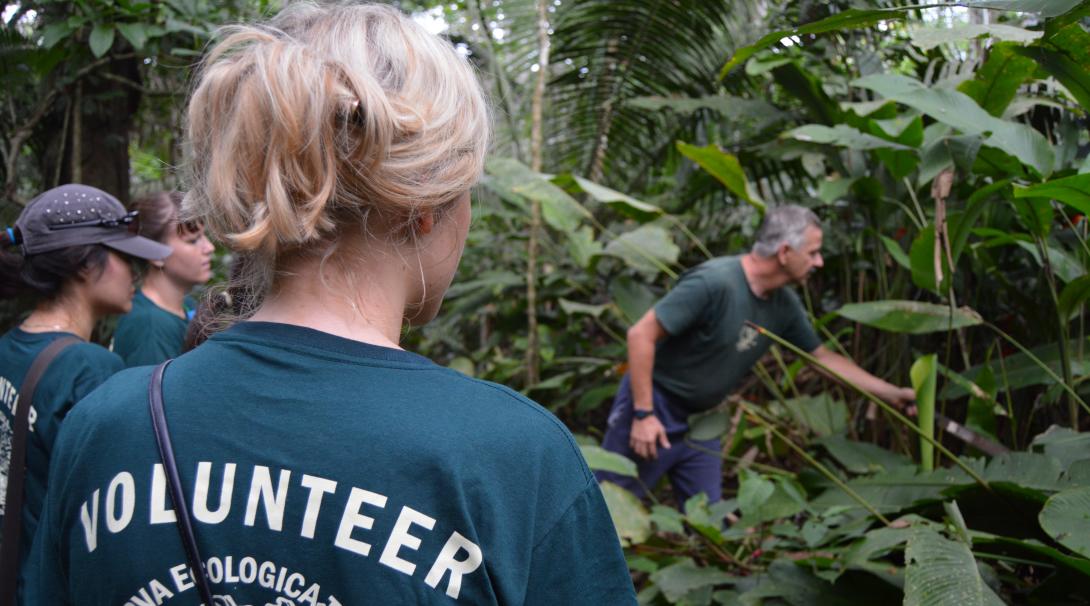 A Projects Abroad staff member explaining wildlife to volunteers in Peru