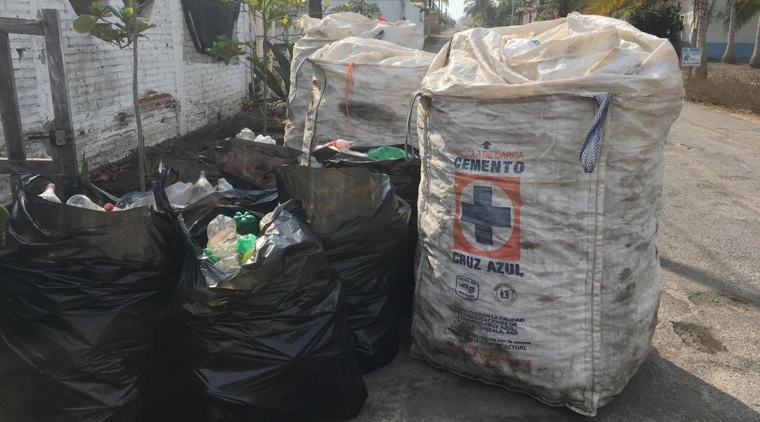 Plastic bottles collected by Projects Abroad Conservation volunteers in Mexico.