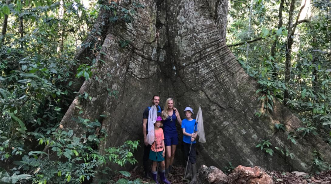 Conservation volunteers assist with butterfly research as a family in Peru