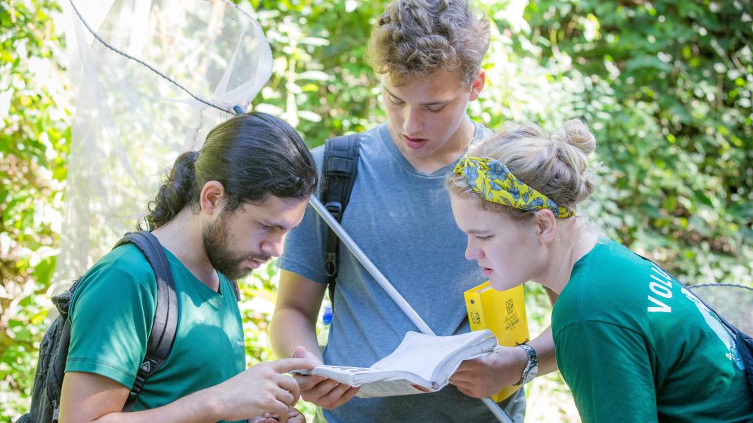 Projects Abroad staff on a volunteer travel program for adults in Costa Rica help volunteers identify butterflies.