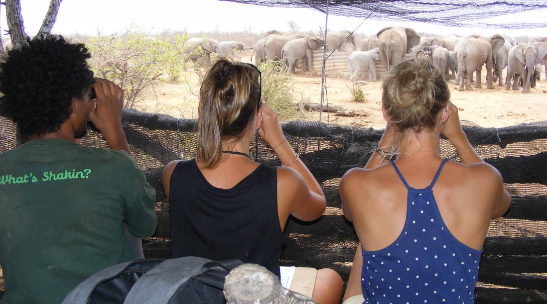 High school volunteers doing elephants surveys.