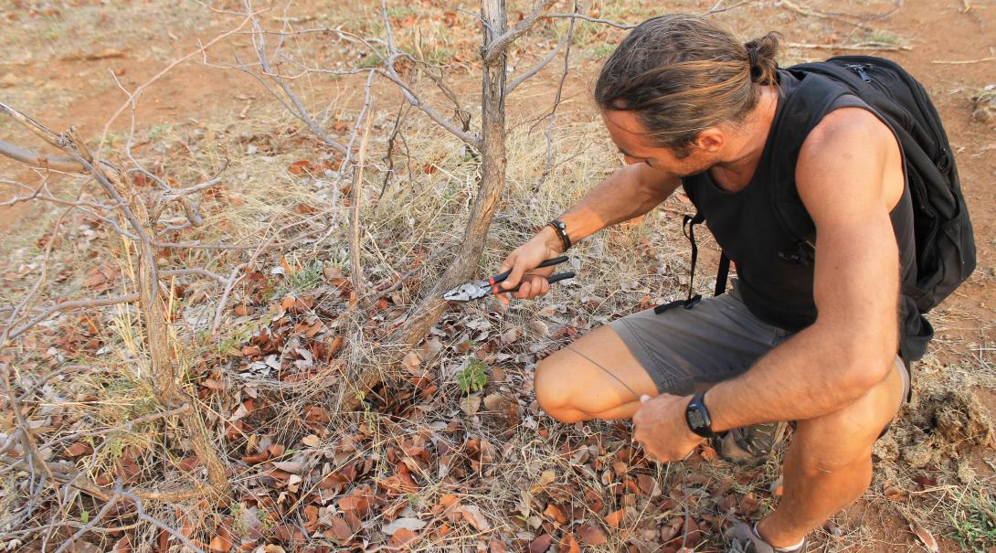 A Wildlife volunteer in Botswana