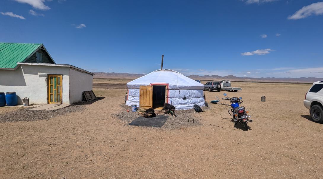 Mongolian Nomad accommodation