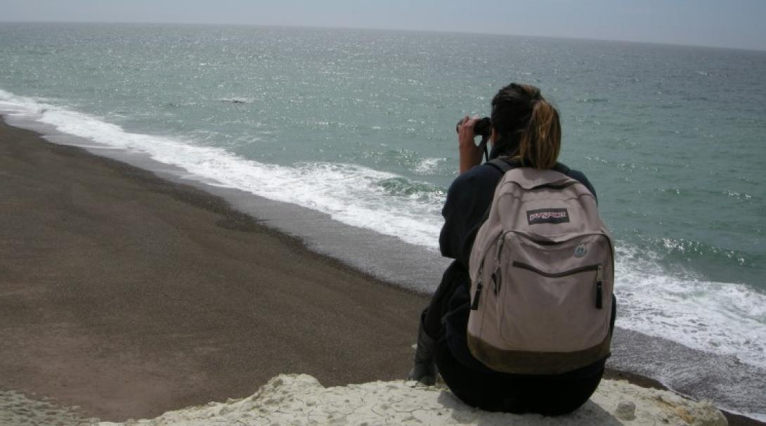 A volunteer doing a whale survey