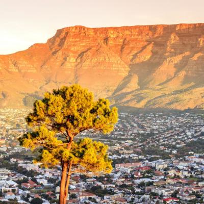 A stunning view of Table Mountain in Cape Town, captured by someone travelling to South Africa.