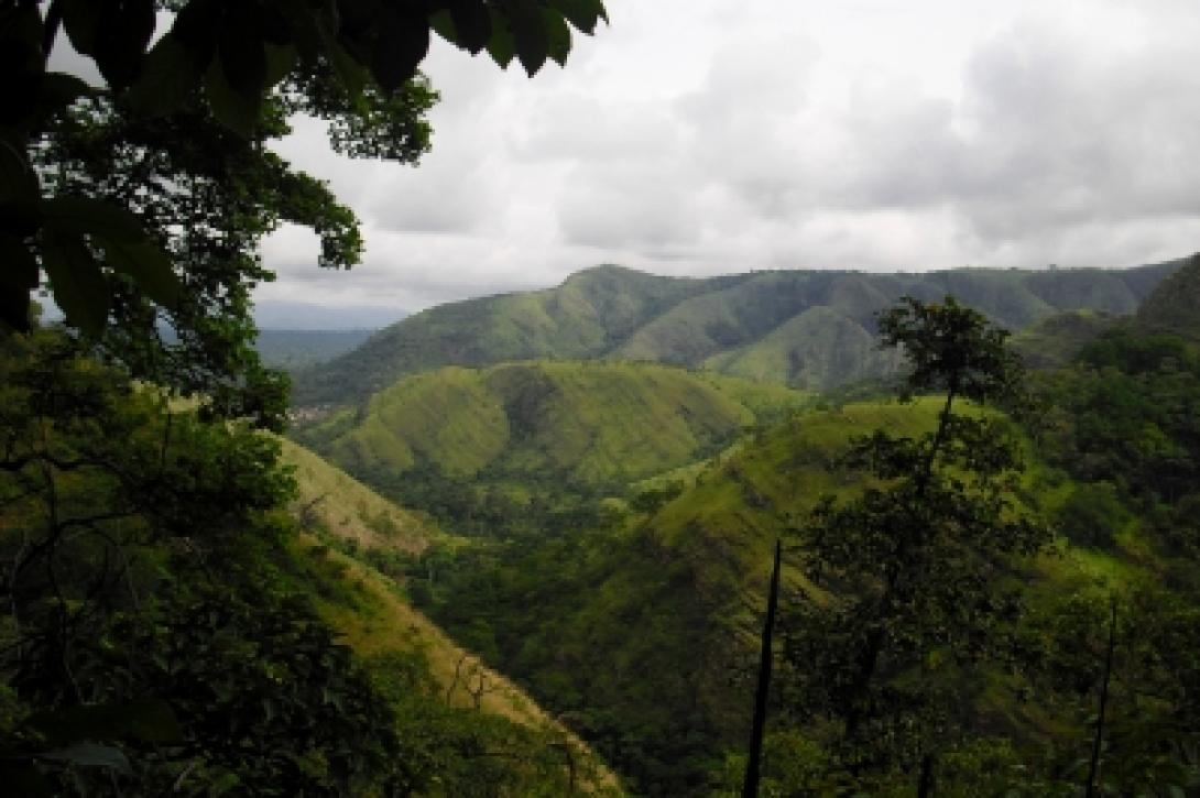 Beautiful nature in Ghana