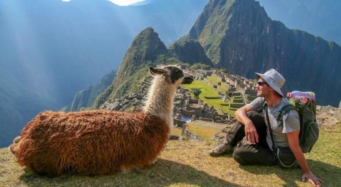 Volunteer with a llama at Machu Picchu