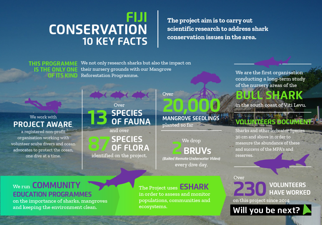 Interesting facts about conservation volunteering in Fiji with projects abroad