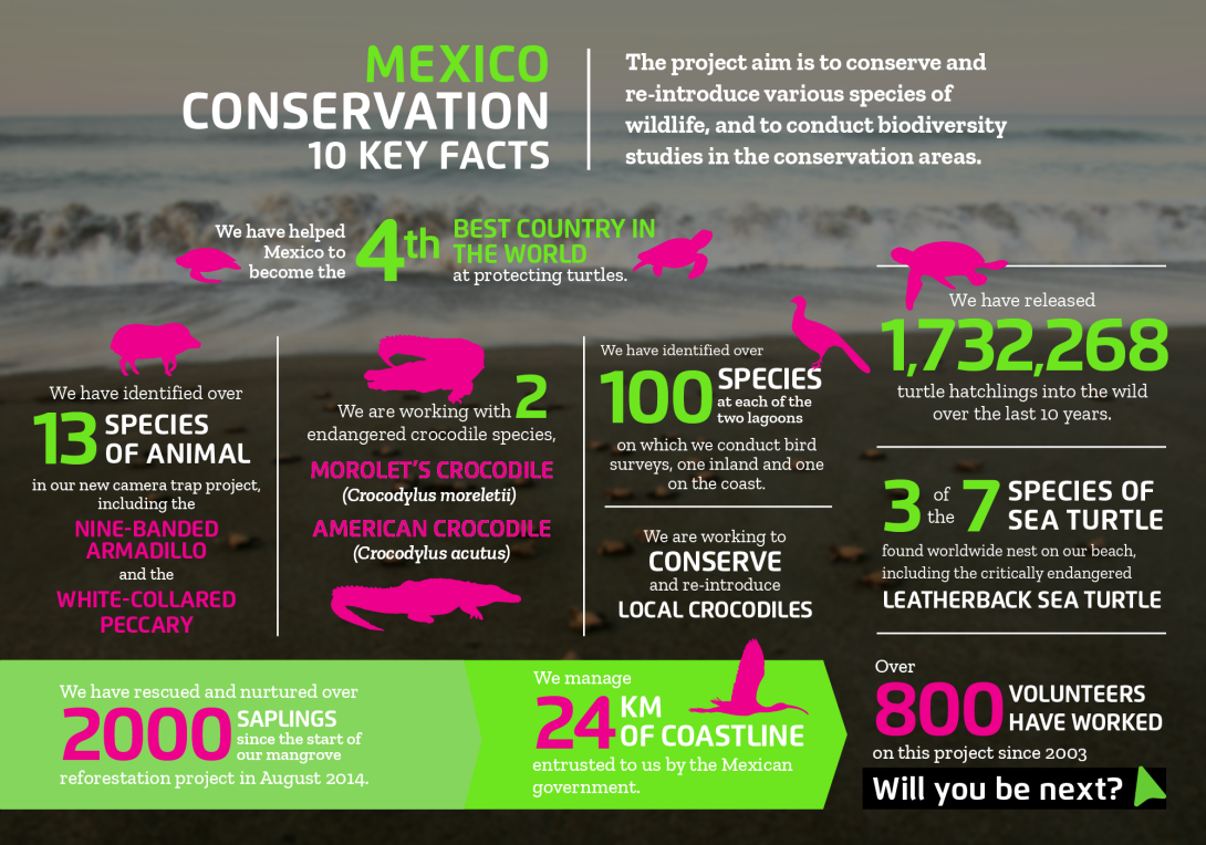 Interesting facts about conservation volunteering in Mexico with projects abroad